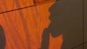 tayler hills nude blowjob onlyfans video leaked ufpjsz 364x647 1