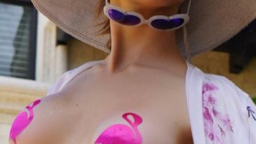 amanda cerny pink flamingo nipple pasties onlyfans set nvgngk